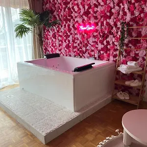 Flower - Jacuzzi Interieur - T2 * Toulouse