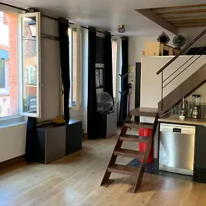 Bel Atypique Quartier St Cyprien Apartment